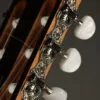 Taylor Academy 12e-N Nylon String Acoustic Electric Guitar – New