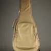 Taylor Academy 12e-N Nylon String Acoustic Electric Guitar – New