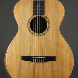 Taylor Academy 12e-N Nylon String Acoustic Electric Guitar – New