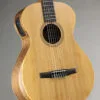 Taylor Academy 12e-N Nylon String Acoustic Electric Guitar – New