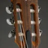 Taylor Academy 12e-N Nylon String Acoustic Electric Guitar – New