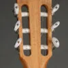 Taylor Academy 12e-N Nylon String Acoustic Electric Guitar – New