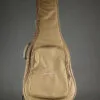 Taylor Academy 12e-N Nylon String Acoustic Electric Guitar – New