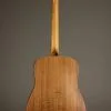 Taylor Academy 20e Acoustic Electric Guitar – New
