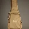 Taylor Academy 20e Acoustic Electric Guitar – New