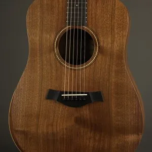 Taylor Academy 20e Acoustic Electric Guitar – New