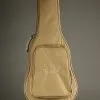 Taylor Academy 20e Acoustic Electric Guitar – New