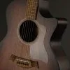 Taylor AD24ce Acoustic Electric Guitar – New