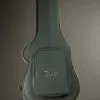 Taylor AD24ce Acoustic Electric Guitar – New
