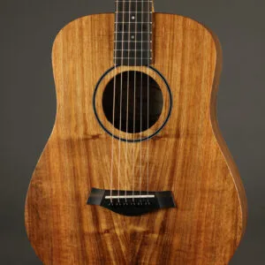 Taylor Baby Koa (BT1e Koa) Acoustic Electric – New