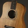 Taylor Baby Koa (BT1e Koa) Acoustic Electric – New