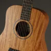 Taylor Baby Mahogany (BT2) Acoustic Guitar – New