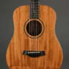 Taylor Baby Mahogany (BT2) Acoustic Guitar – New