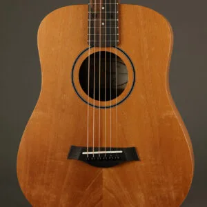 Taylor Baby Taylor Mahogany (BT2) Acoustic Guitar – New