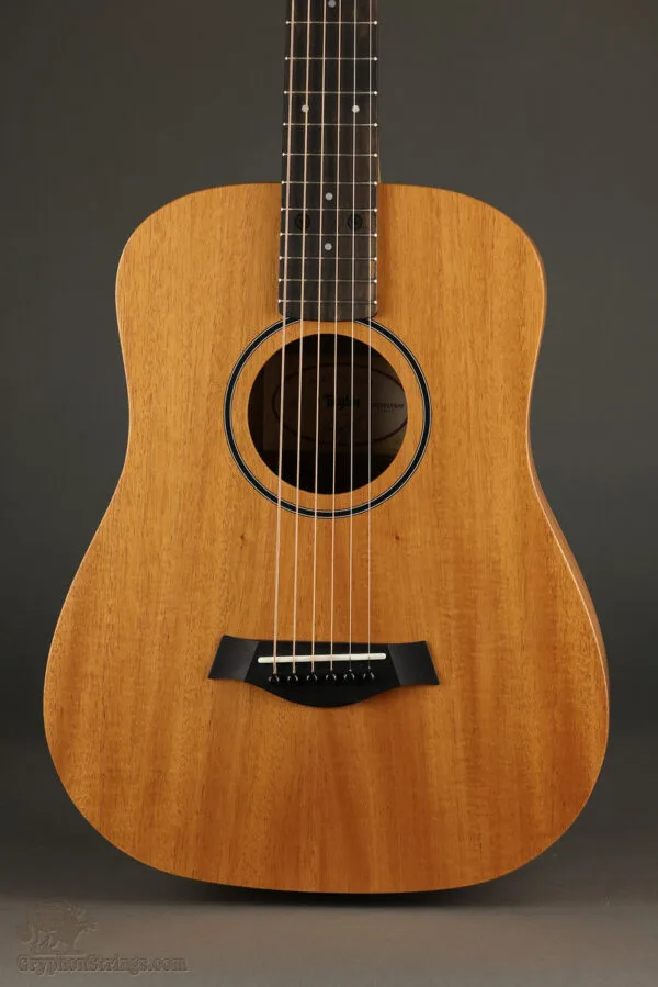 Taylor Baby Taylor Mahogany (BT2) Acoustic Guitar – New