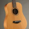 Taylor Baby Taylor Mahogany (BT2) Acoustic Guitar – New