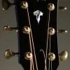 Taylor C18e Custom B4003 Acoustic Electric Guitar – New