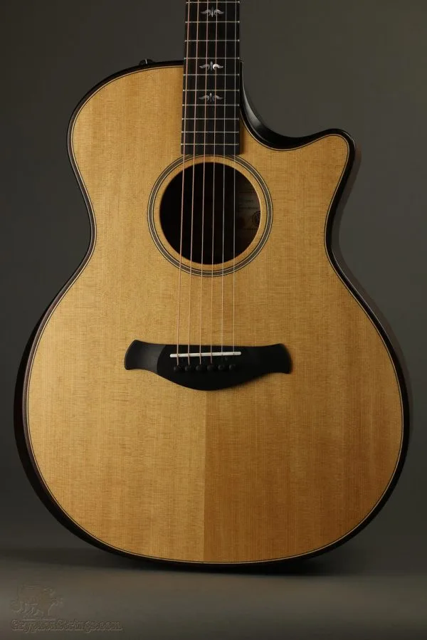 Taylor Custom Aged Maple (BE 614ce) Acoustic Electric Guitar New