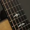 Taylor Custom Aged Maple (BE 614ce) Acoustic Electric Guitar New