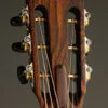 Taylor Custom Aged Maple Grand Concert 12-Fret Acoustic Electric Guitar – New