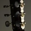 Taylor Custom Aged Maple Grand Concert Acoustic Electric Guitar New