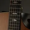 Taylor Custom Aged Maple Grand Symphony Acoustic Electric Guitar New