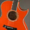 Taylor Doyle Dykes Signature Model Acoustic Electric Guitar – New