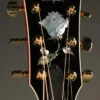 Taylor Doyle Dykes Signature Model Acoustic Electric Guitar – New