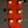 Taylor Doyle Dykes Signature Model Acoustic Electric Guitar – New