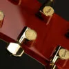 Taylor Doyle Dykes Signature Model Acoustic Electric Guitar – New