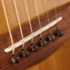 Taylor Gold Label 717e SB Acoustic Electric Guitar – New