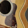 Taylor Gold Label 814e Super Auditorium Steel String Acoustic Guitar – New