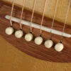 Taylor Gold Label 814e Super Auditorium Steel String Acoustic Guitar – New