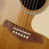 Taylor Gold Label Ben Harper 512e Acoustic Electric Guitar – New