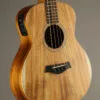 Taylor GS Mini-e Koa Bass Acoustic Bass – New