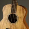 Taylor GS Mini-e Koa Bass Acoustic Bass – New