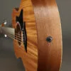 Taylor GS Mini-e Mahogany Acoustic Electric Guitar – New