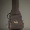 Taylor GS Mini-e Rosewood Plus Acoustic Electric Guitar – New