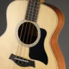 Taylor GS-Mini-e Sapele Acoustic Bass – New