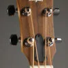 Taylor GS-Mini-e Sapele Acoustic Bass – New