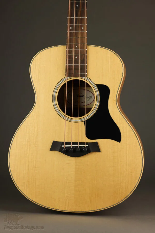 Taylor GS-Mini-e Sapele Bass – New