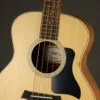 Taylor GS-Mini-e Sapele Bass – New