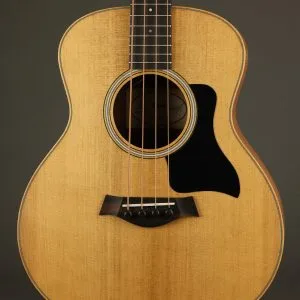 Taylor GS-Mini-e Sapele Bass – New