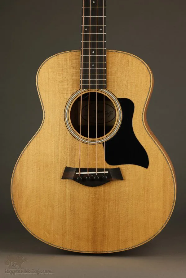 Taylor GS-Mini-e Sapele Bass – New