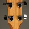 Taylor GS-Mini-e Sapele Bass – New