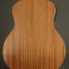 Taylor GS Mini-e Special Edition Dragon Acoustic Electric Guitar – New