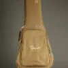 Taylor GS Mini-e Special Edition Dragon Acoustic Electric Guitar – New