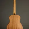 Taylor GS Mini-e Special Edition Dragon Acoustic Electric Guitar – New
