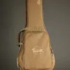 Taylor GS Mini-e Special Edition Dragon Acoustic Electric Guitar – New