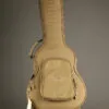 Taylor GS Mini Sapele Acoustic Guitar – New